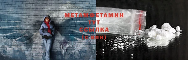 индика Богородск