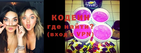 индика Богородицк