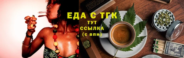 индика Богородск