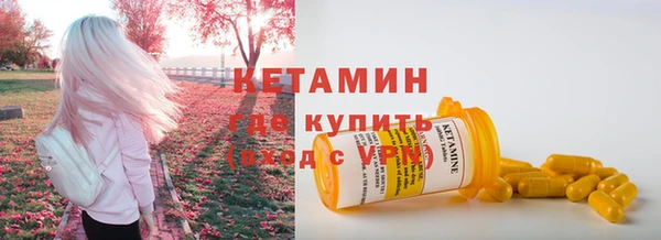 индика Богородск