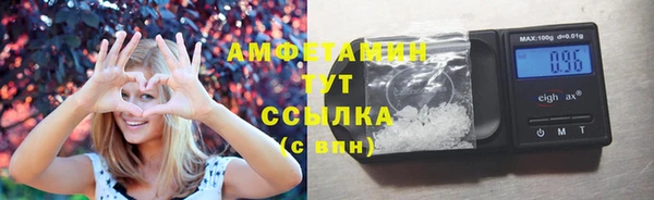 индика Богородск