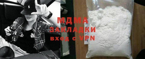 индика Богородицк