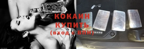 индика Богородск