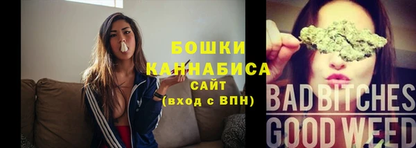 индика Богородицк
