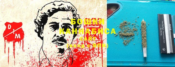 индика Богородск