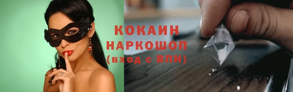 индика Богородск