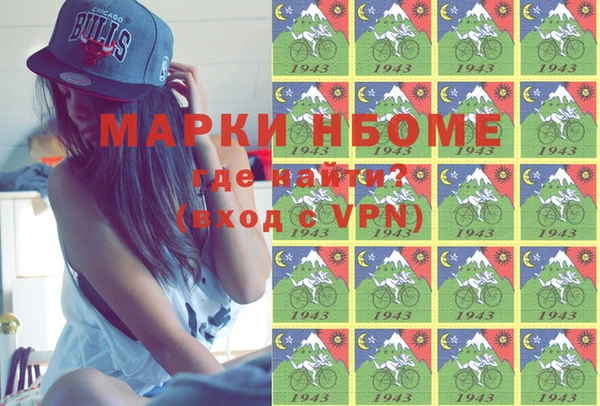 индика Богородицк