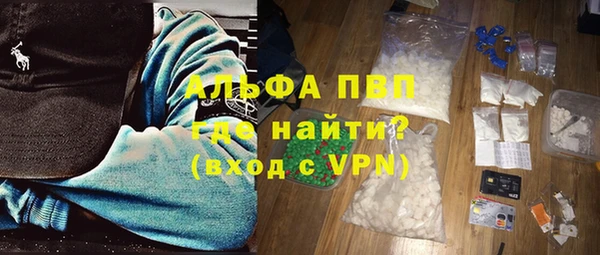индика Богородицк