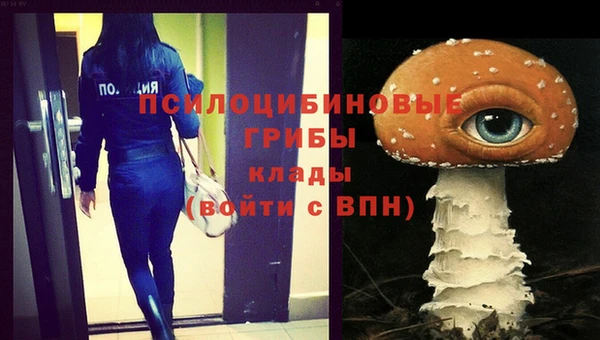 ГАЛЛЮЦИНОГЕННЫЕ ГРИБЫ Россошь