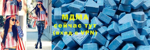 индика Богородицк