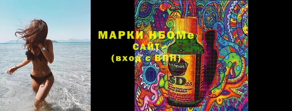 индика Богородск