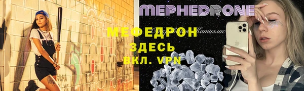 индика Богородск