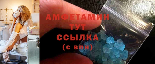 индика Богородицк