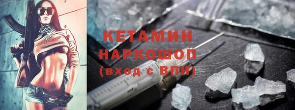 индика Богородицк