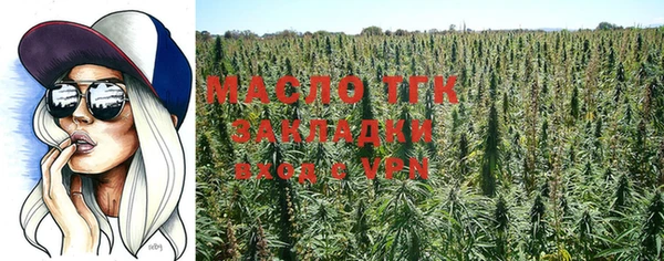 индика Богородицк