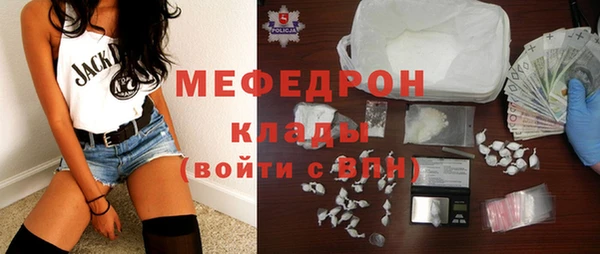 индика Богородицк