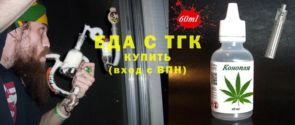 индика Богородицк