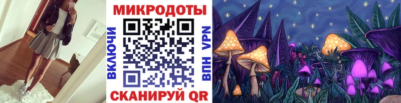Псилоцибиновые грибы Psilocybine cubensis  hydra вход  Михайлов 